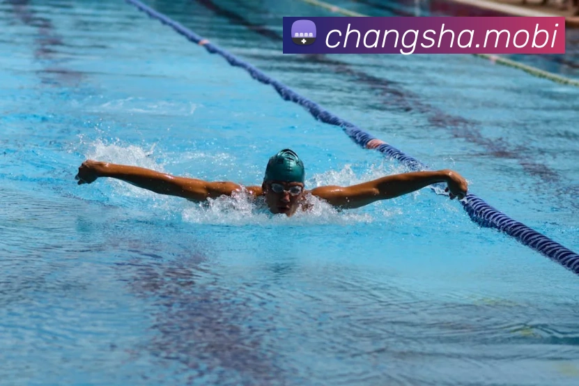 开云手机在线登陆入口平台生态图