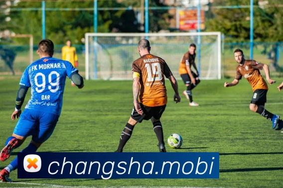 开云手机在线登陆入口APP 封面图